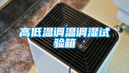 高低溫調溫調濕試驗箱
