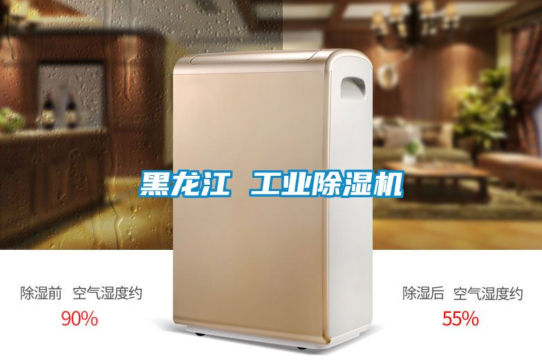 黑龍江 工業除濕機