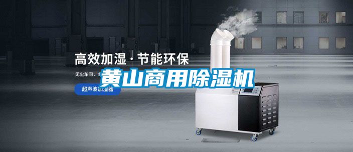 黃山商用除濕機(jī)