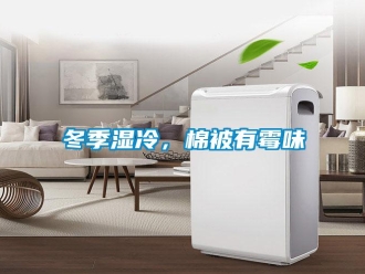 企業新聞冬季濕冷，棉被有霉味