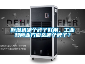 常見問題除濕機哪個牌子好用，工業和商業方面選哪個牌子？