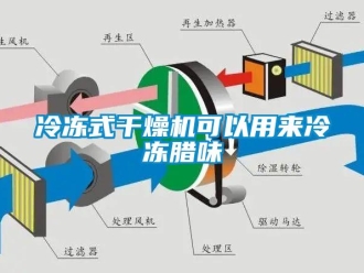 行業新聞冷凍式干燥機可以用來冷凍臘味