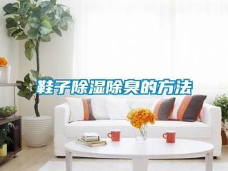 企業(yè)新聞鞋子除濕除臭的方法