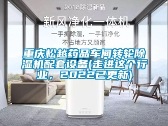 常見(jiàn)問(wèn)題重慶松越藥品車(chē)間轉(zhuǎn)輪除濕機(jī)配套設(shè)備(走進(jìn)這個(gè)行業(yè)，2022已更新)