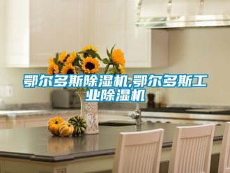 常見問題鄂爾多斯除濕機,鄂爾多斯工業除濕機