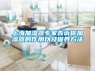 知識百科上海加濕器專家告訴你加濕器的作用以及保養方法