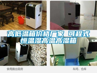 常見問題高低溫箱價格廠家 可程式恒溫濕高溫高濕箱