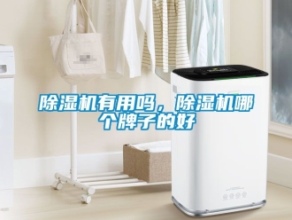 行業(yè)新聞除濕機(jī)有用嗎，除濕機(jī)哪個(gè)牌子的好