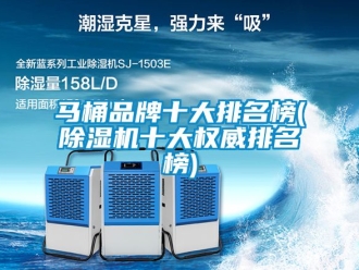 企業新聞馬桶品牌十大排名榜(除濕機十大權威排名榜)