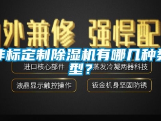 行業(yè)新聞非標(biāo)定制除濕機(jī)有哪幾種類型？