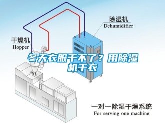 企業(yè)新聞冬天衣服干不了？用除濕機干衣