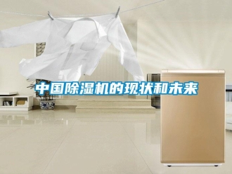 知識百科中國除濕機的現狀和未來