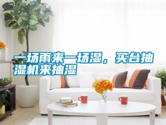 知識百科一場雨來一場濕，買臺抽濕機來抽濕