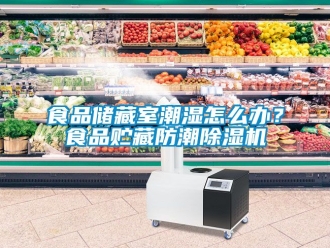 行業新聞食品儲藏室潮濕怎么辦？食品貯藏防潮除濕機