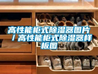 行業新聞高性能柜式除濕器圖片／高性能柜式除濕器樣板圖