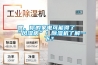 嘿，你的家電可能得了“風(fēng)濕病”！除濕機(jī)了解一下？