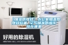 【加濕器擺放】辦公室加濕器擺放位置 空氣加濕器應該放在哪里