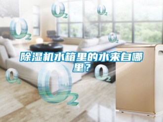 行業新聞除濕機水箱里的水來自哪里？