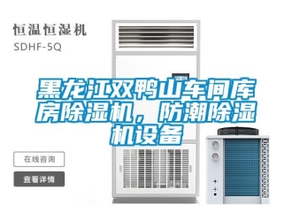 企業新聞黑龍江雙鴨山車間庫房除濕機，防潮除濕機設備