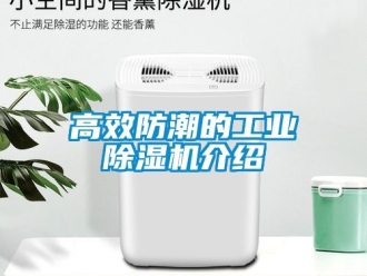常見問題高效防潮的工業除濕機介紹