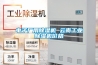 電子廠用除濕機 云南工業除濕機價格