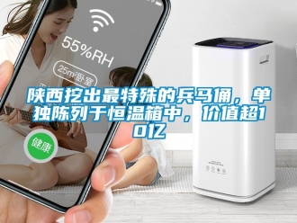 知識百科陜西挖出最特殊的兵馬俑，單獨陳列于恒溫箱中，價值超10億