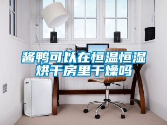 知識百科醬鴨可以在恒溫恒濕烘干房里干燥嗎