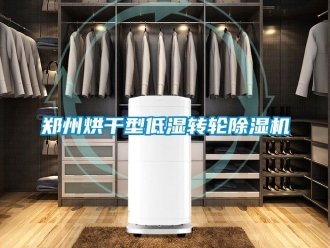 常見問題鄭州烘干型低濕轉輪除濕機