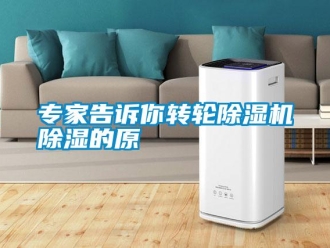 知識(shí)百科專家告訴你轉(zhuǎn)輪除濕機(jī)除濕的原