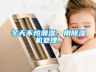 企業新聞冬天不怕潮濕，用除濕機處理。