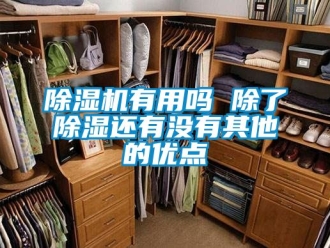 行業新聞除濕機有用嗎 除了除濕還有沒有其他的優點
