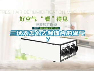 常見問題三伏天怎么去除體內的濕氣？