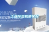 工業除濕機哪家好
