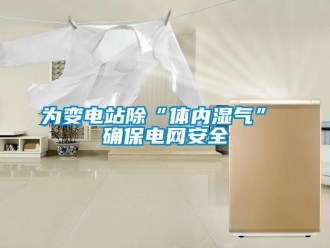 知識百科為變電站除“體內濕氣” 確保電網安全