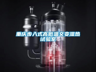 常見(jiàn)問(wèn)題重慶步入式高低溫交變濕熱試驗(yàn)室