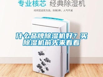 知識百科什么品牌除濕機好？買除濕機前先來看看