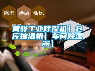 常見問題黃驊工業除濕機】倉庫抽濕機】車間除濕器】