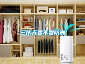 行業新聞三伏天要不要防潮