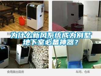 知識(shí)百科為什么新風(fēng)系統(tǒng)成為別墅地下室必備神器？