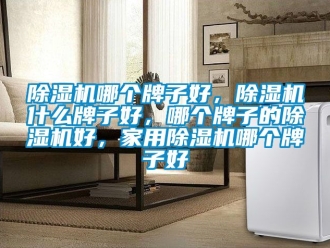 常見問題除濕機哪個牌子好，除濕機什么牌子好，哪個牌子的除濕機好，家用除濕機哪個牌子好