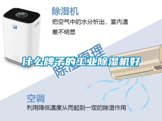 知識百科什么牌子的工業除濕機好