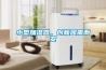 小型加濕器，創新因需而變