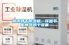 柿餅烘干除濕機，環保節能柿餅烘干設備