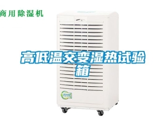 常見問題高低溫交變濕熱試驗箱