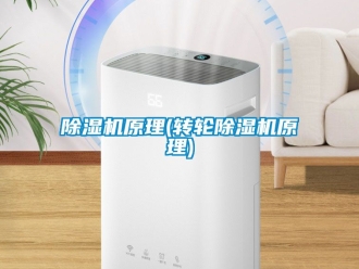常見問題除濕機原理(轉輪除濕機原理)