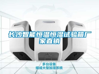 知識(shí)百科長(zhǎng)沙智能恒溫恒濕試驗(yàn)箱廠家直銷