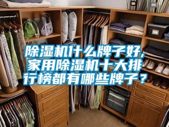 常見問題除濕機什么牌子好,家用除濕機十大排行榜都有哪些牌子？