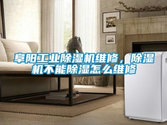 常見問題阜陽工業(yè)除濕機(jī)維修，除濕機(jī)不能除濕怎么維修