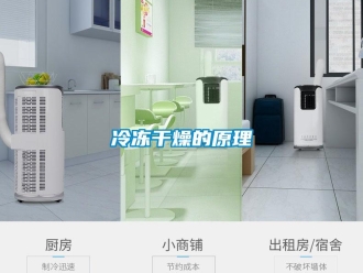 行業新聞冷凍干燥的原理