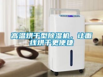 行業新聞高溫烘干型除濕機，讓面線烘干更便捷